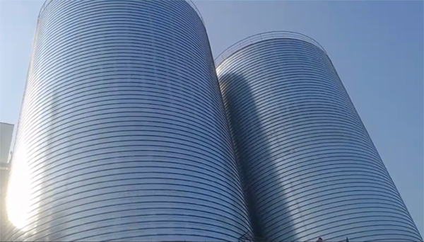 长葛2座混凝土高架卷板仓